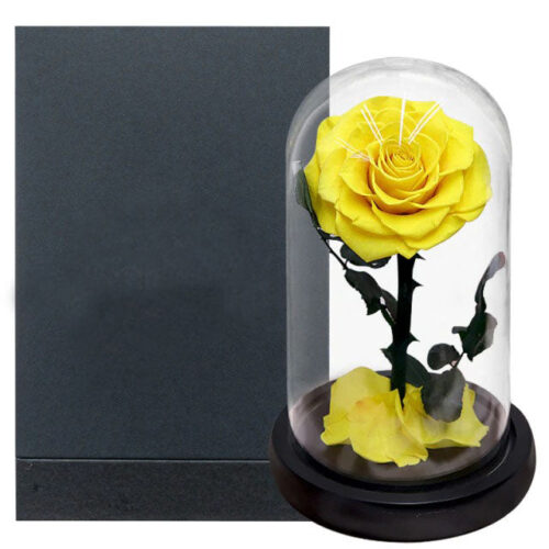 Solaris Yellow